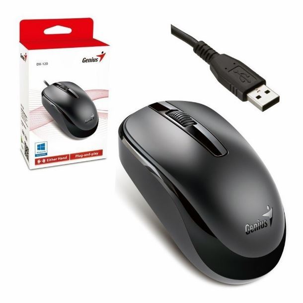 mouse-genius-dx-120-usb-black