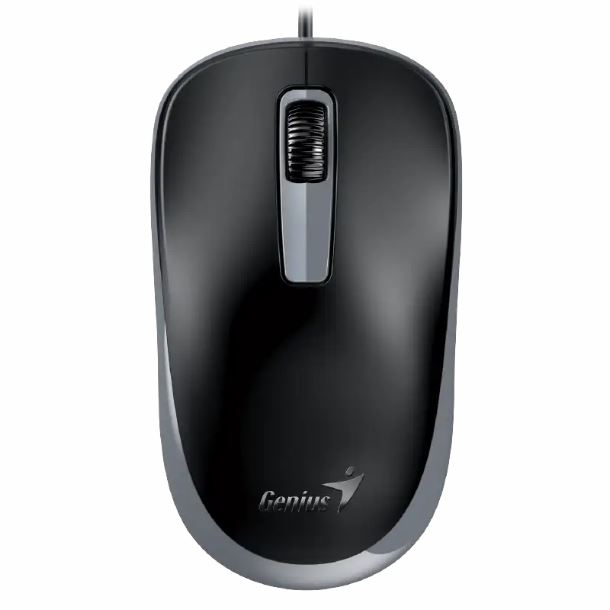 MOUSE GENIUS DX-125S USB BLACK/GREY