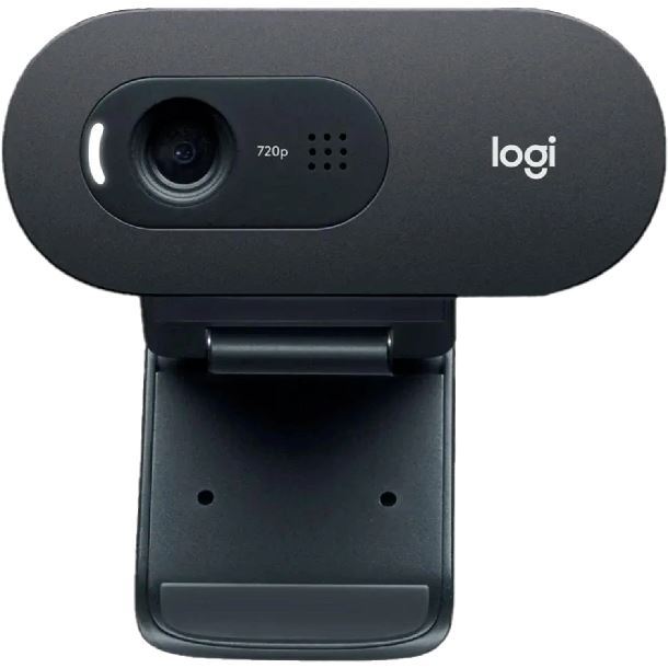 webcam-logitech-c505-hd-2mp-960-001363