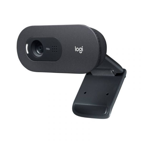 webcam-logitech-c505-hd-2mp-960-001363